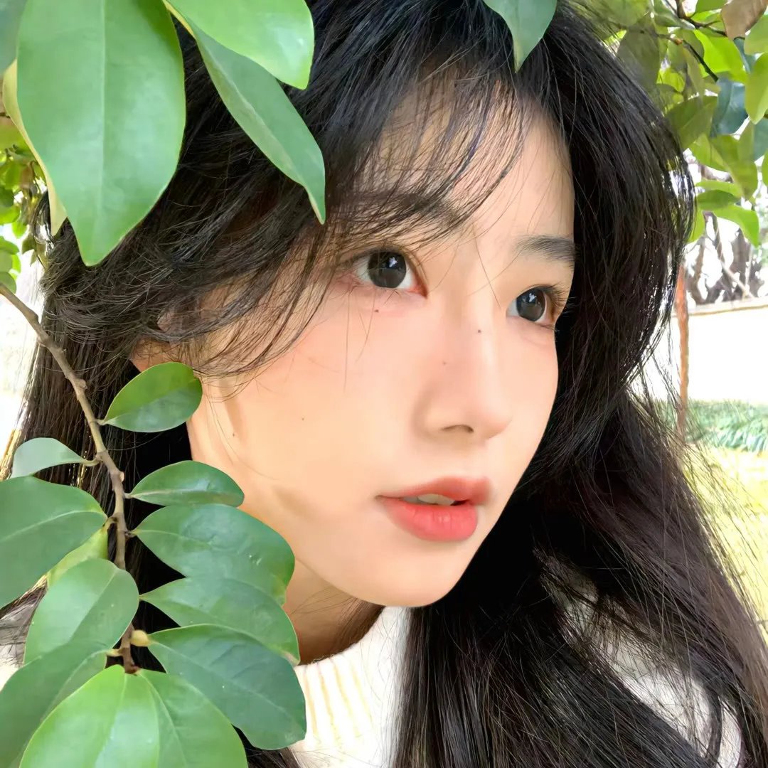 朋友与鳄鱼